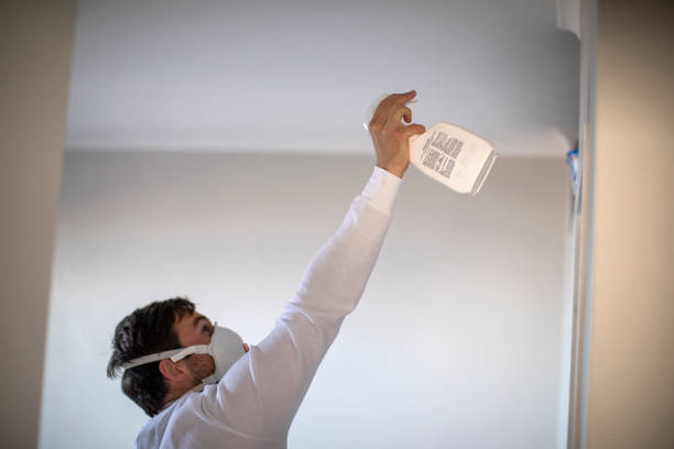  Winterville, NC Mold Removal Pros